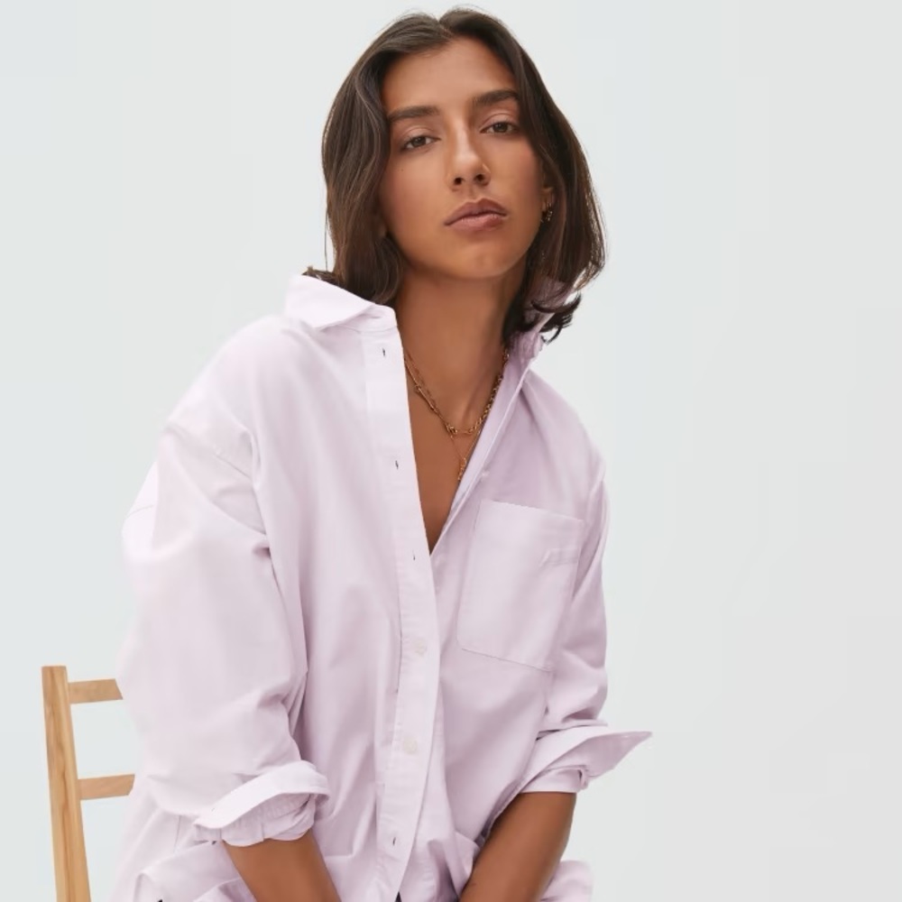 NEW - Everlane Relaxed Oxford